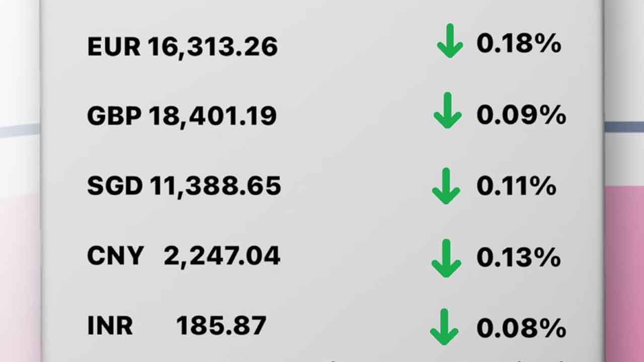 Today's Transfez Rate Update March 03 2023