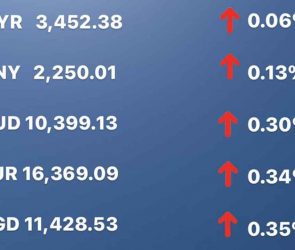 Today's Transfez Rate Update March 06 2023