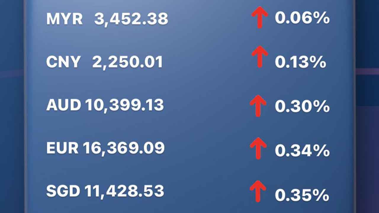 Today's Transfez Rate Update March 06 2023