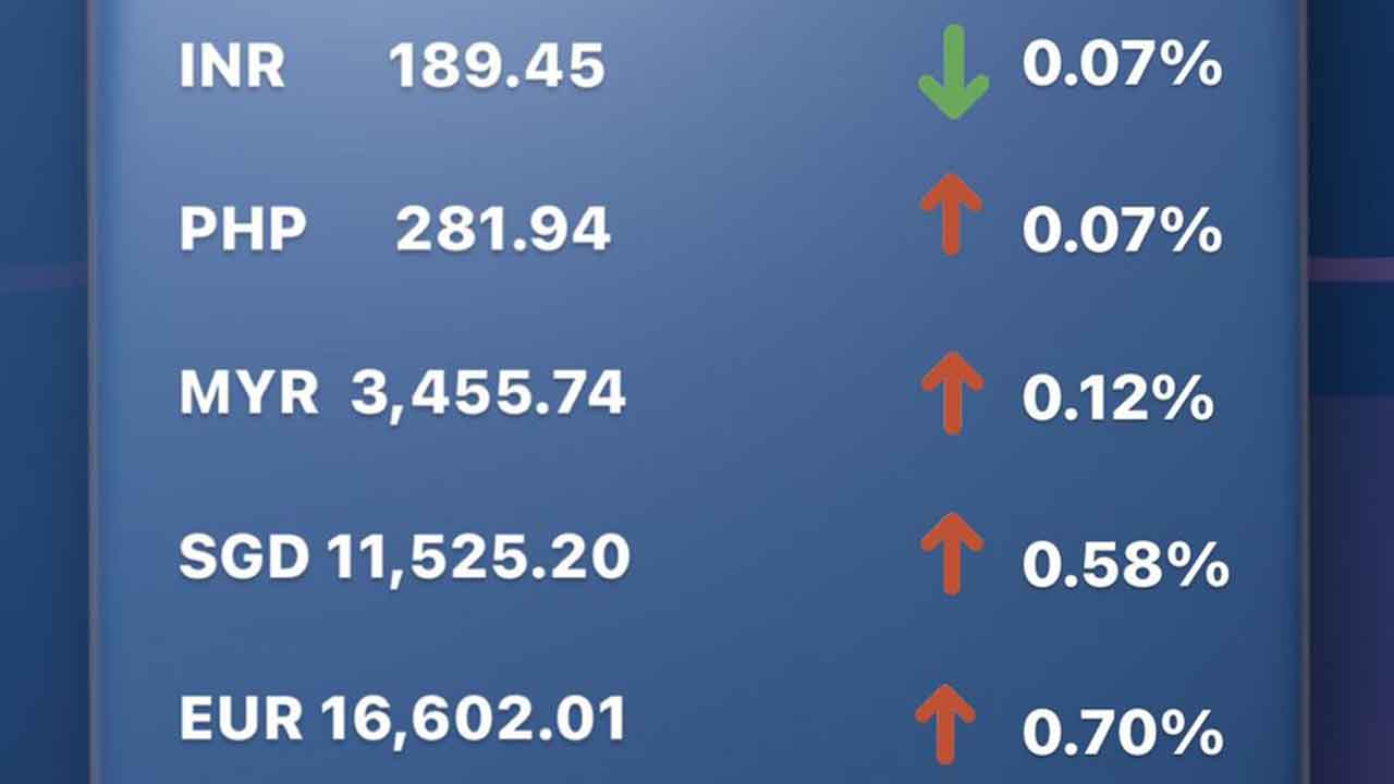 Today's Transfez Rate Update March 13 2023