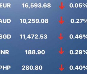 Today's Transfez Rate Update March 14 2023