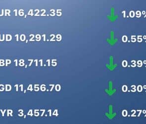 Today's Transfez Rate Update March 16 2023