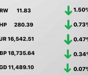 Today's Transfez Rate Update March 24 2023