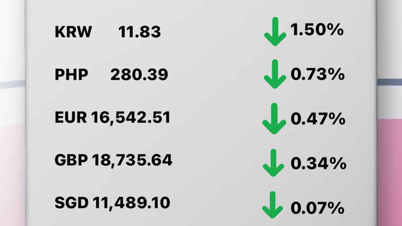 Today's Transfez Rate Update March 24 2023