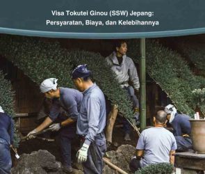 Visa Tokutei Ginou (SSW) Jepang: Persyaratan, Biaya, dan Kelebihannya